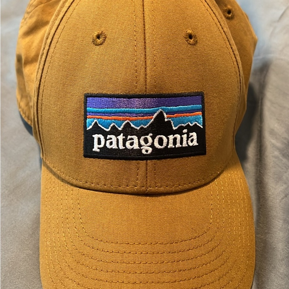 Patagonia fitted cap